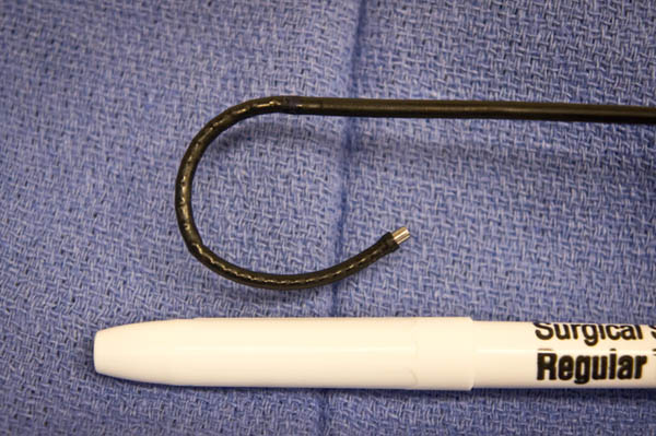 Ureteroscope closeup photo