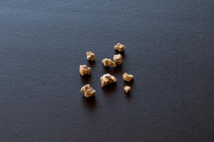 Photo of calcium oxalate kidney stone fragments